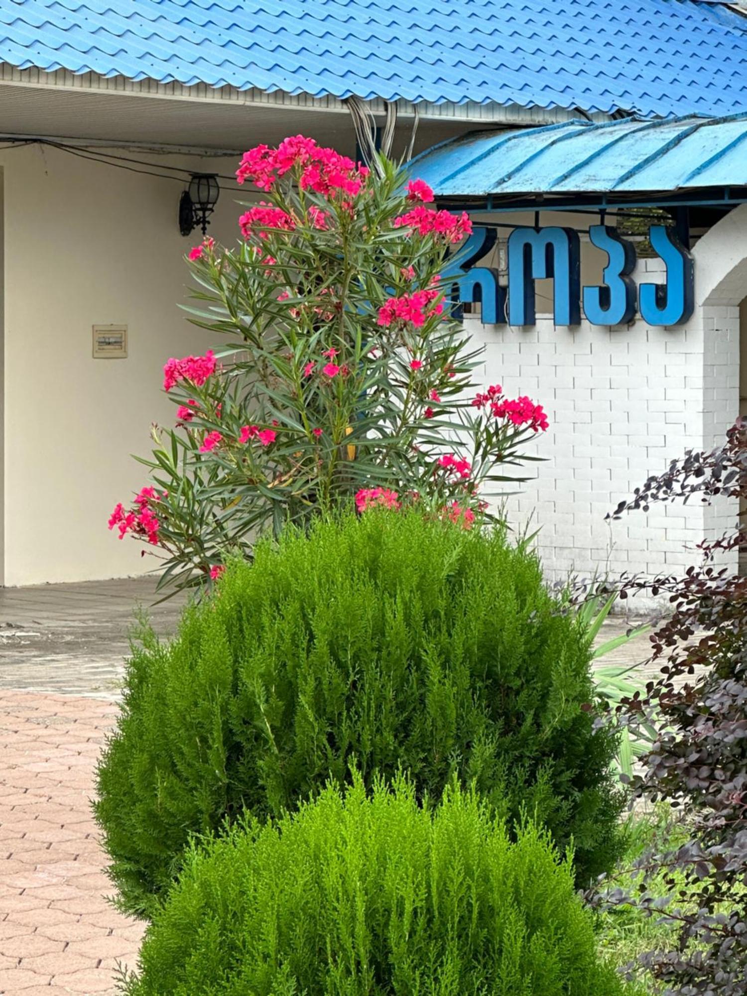 Europa Hotel-קוטאיסי מראה חיצוני תמונה